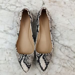 Sand and Stone Pointed Toe Leather Snakeskin Print
